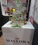 Making Noise in a Growing Category: Mallows Mixers at the National Convenience Show - Mallows Beverages