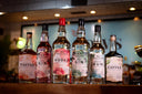 Expressions Range - Mallows Beverages