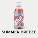 Blur Fruit Drinks - Mallows Beverages