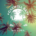 Caswell Bay 70cl - 14.9% ABV - Mallows Beverages